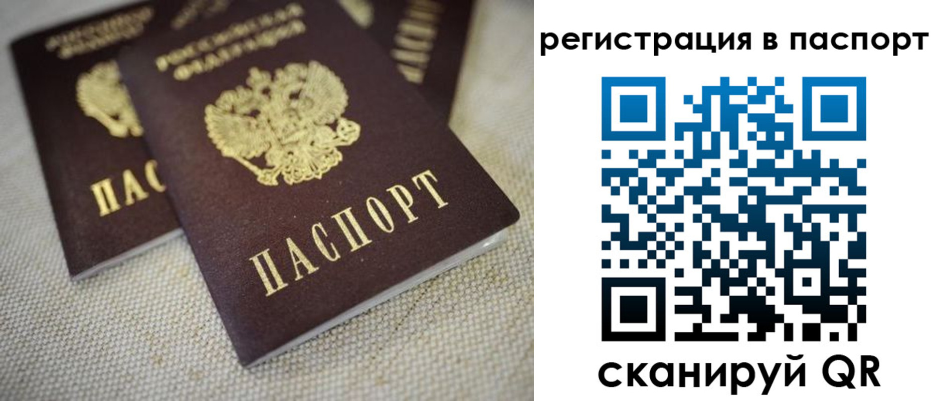 прописка гарантия в Донском